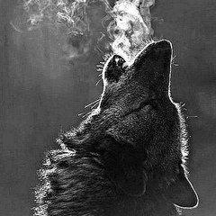 Александр Петров, 11.09, Нижний Новгород