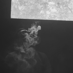 Romik Hambarcumyan, Ереван