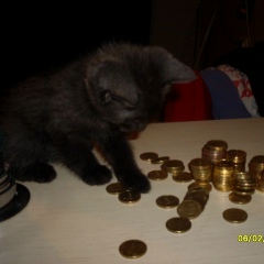 Маша Машечкина, Санкт-Петербург