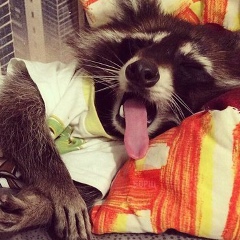 Дмитрий Батаев, 30.11