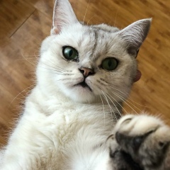 Марият Датаева, 23.06, Грозный