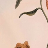 Айжан Акимгереева, 20.08, Алматы