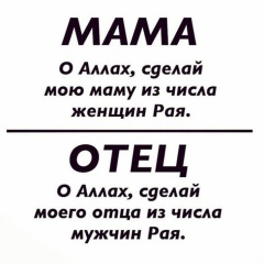 Кожамжар Кушманов, 06.06, Montego Bay