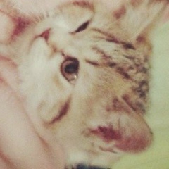 Антон Реунов, 24.07.1985, Москва