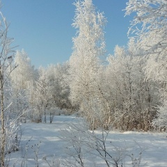 Салават Хабибуллин, 14.05, Уфа