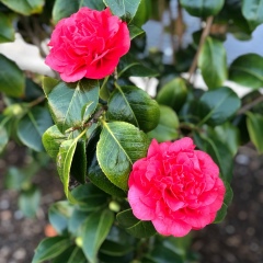 Евгения Андреева, 10.06, Москва