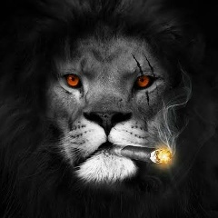 Idir Hadou, 01.09.1984, Alger