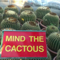 Александра Сутырина, 13.05