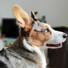 Светлана Руденцова, 06.03.1987, Москва