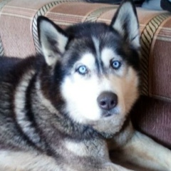 Игорюха Ануфриев, 15.06, Санкт-Петербург