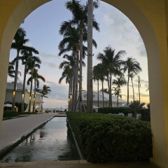 Ирина Ириша