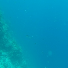 Айнура Алиева, 02.01, Москва