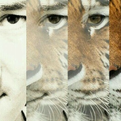 Шерзод Абдуллаев, 20.08.1989, Ургенч