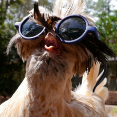 Андрей Лавров, 06.04.1986, Москва