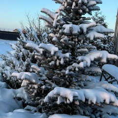 Юлия Ландышева, 12.09.1979, Санкт-Петербург