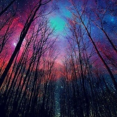 Светлана Ильина, Москва