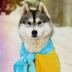 Андрій Черній, 27.03, Винница