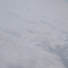 Александр Жидких