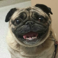 Дмитрий Клочков, 07.06, Апатиты