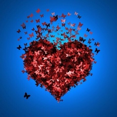 Марианна Манаенко, 24.12.1978, Одесса