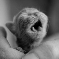 Сергей Каптюх, 30.12.1976, Запорожье