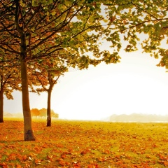 Phyu Win-Nu, 18.09, Mandalay