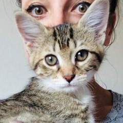 Александра Стретинская, 05.01.1984, Санкт-Петербург