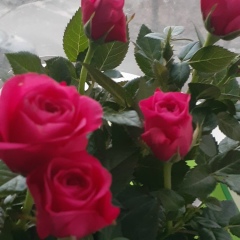 Светлана Подойницына, 15.02, Санкт-Петербург