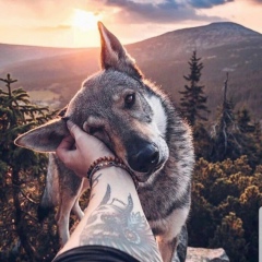 Елена Ким, 03.09.1985, Москва