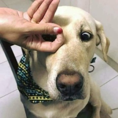 Kyi Yannaing, 26.08.1987