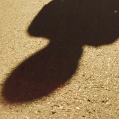 Николай Степаненков, 16.07.1990, Печора