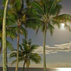 Zayer Kyaw, 23.12.1990