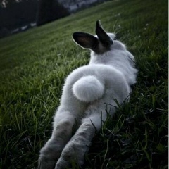 Ash Yan, 13.02, Москва