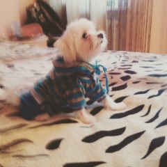 Инна Квасова, 08.07, Одесса