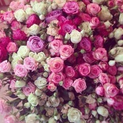 Сариюшка Садыкова, Казань