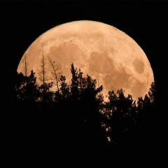 Arman Voskanyan, Ереван