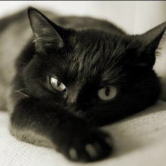 Эльвира Богачева, 08.06, Иркутск