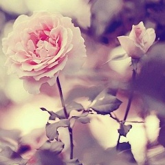 Nurgul Syrgakova, 25.05.1989, Москва