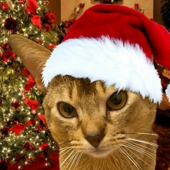 Вова Мурзин, 19.10.2003