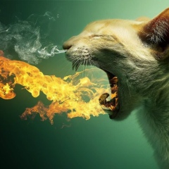 Кондолиза Либерман, 22.07