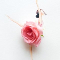 Диана Коротенко, 05.02, Нежин