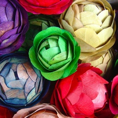 Екатерина Иванова, 21.07.1999, Владивосток