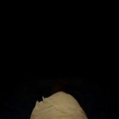 As T, Поселок № 16