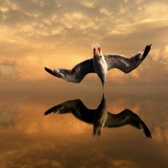 Наталья Рудакова, 25.11.1996, Ульяновск