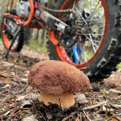 Рустам Казыханов, 26.08, Тюмень