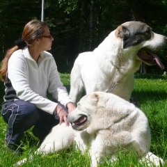 Елена Белова, 28.01.1977, Санкт-Петербург