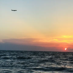 Дмитрий Владимирович, 12.11, Санкт-Петербург