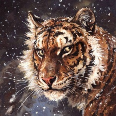 Евгений Шадрин, 30.12, Екатеринбург