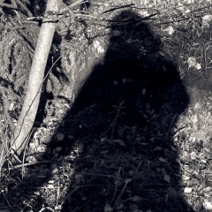 Юлия Никонорова, Praha