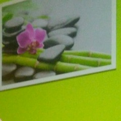 Светлана Олейник, 07.05, Архангельск